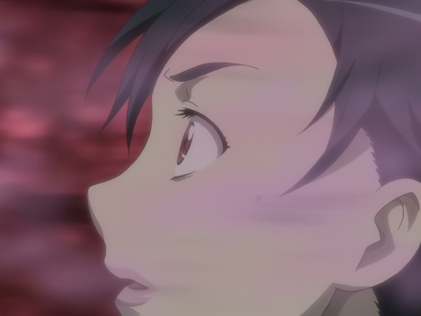 Blood+ Ep 12: Lured by the White Mist @ 13:41