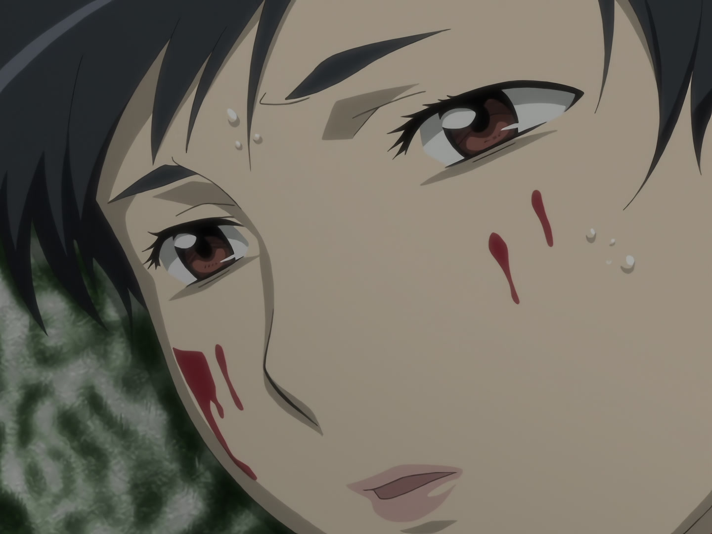 Blood+ Ep 13: Jungle Paradise @ 04:11