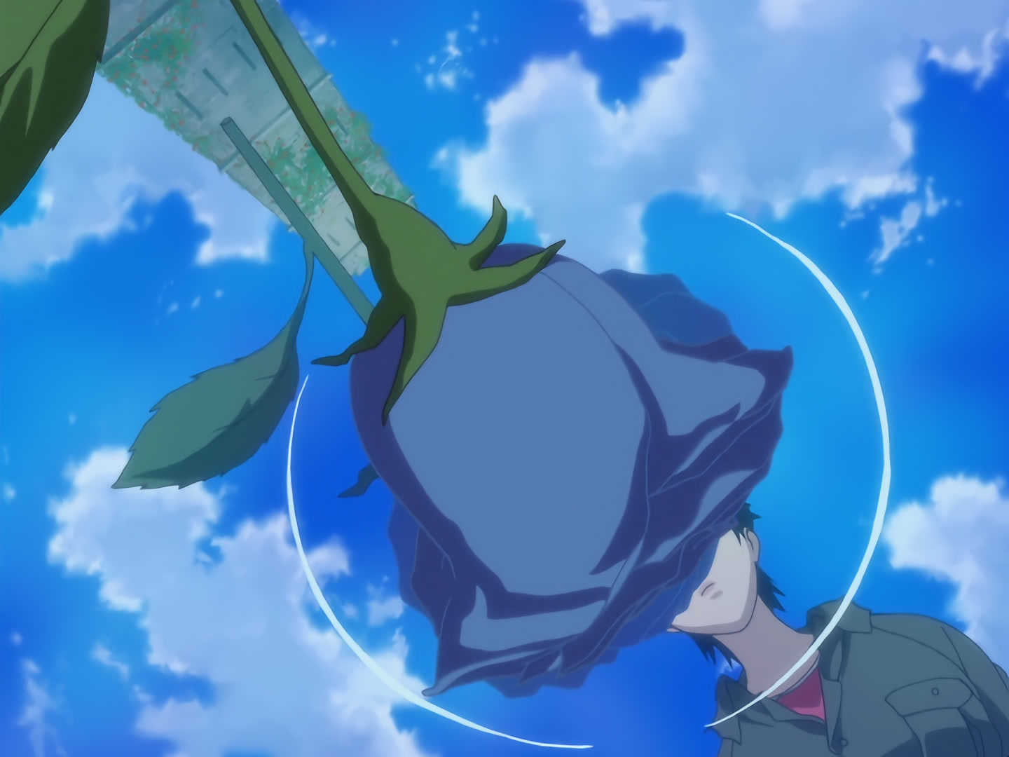 Blood+ Ep 13: Jungle Paradise @ 05:31