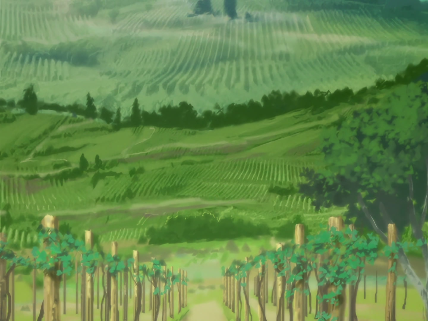 Blood+ Ep 21: Sour Grapes @ 10:31
