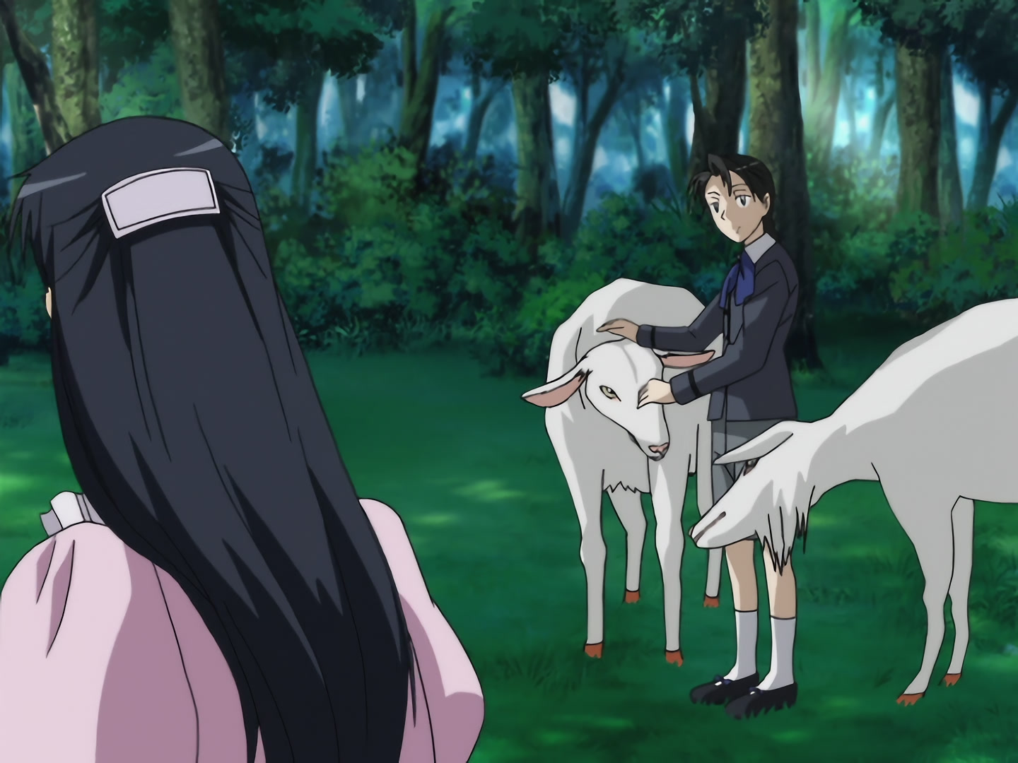 Blood+ Ep 22: The Zoo @ 09:06