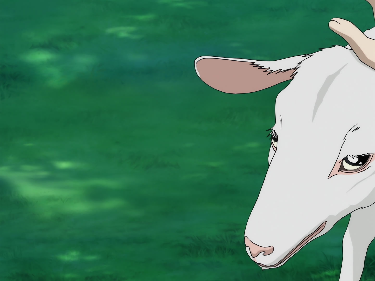 Blood+ Ep 22: The Zoo @ 09:14