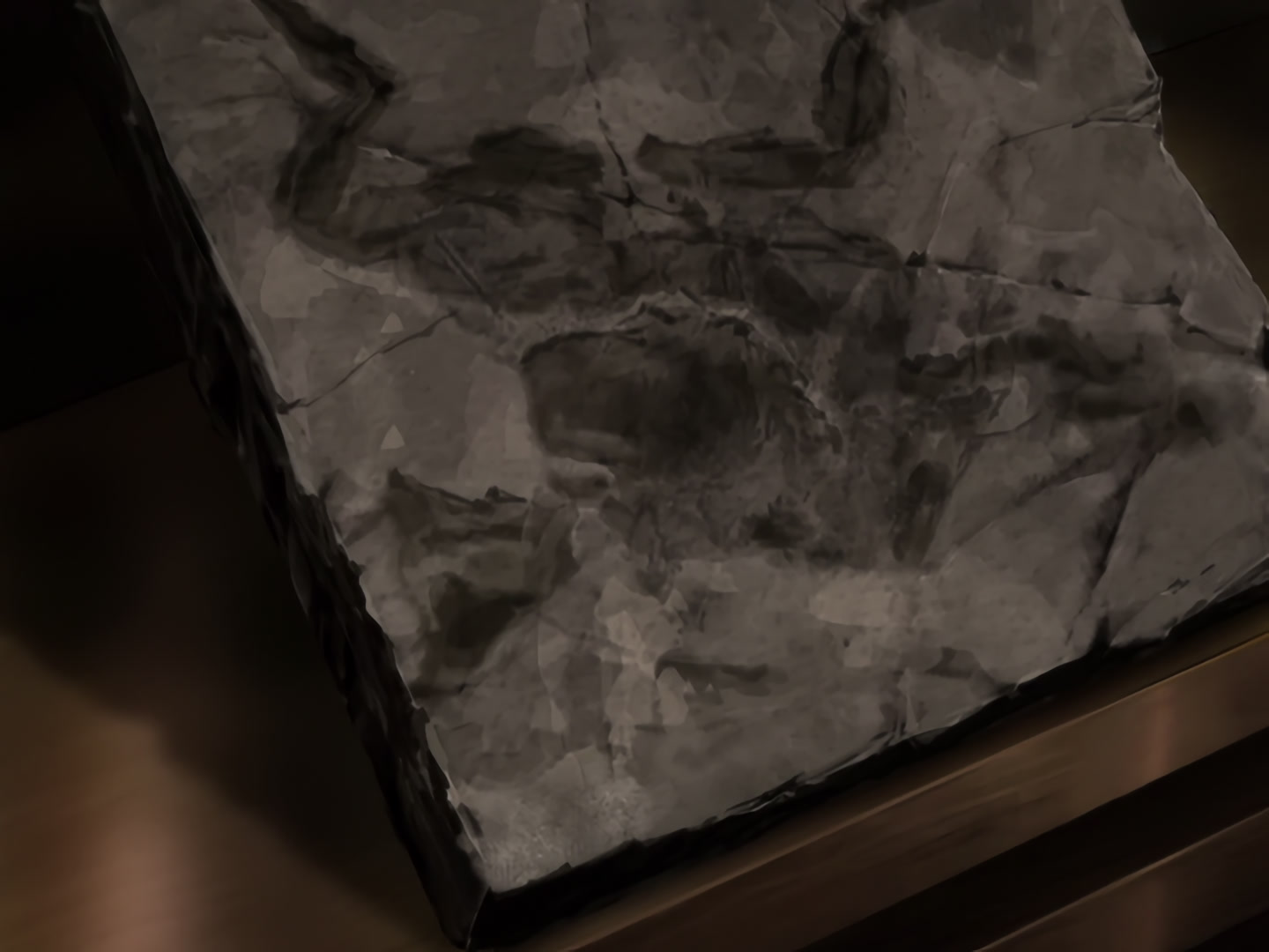 Blood+ Ep 22: The Zoo @ 13:12