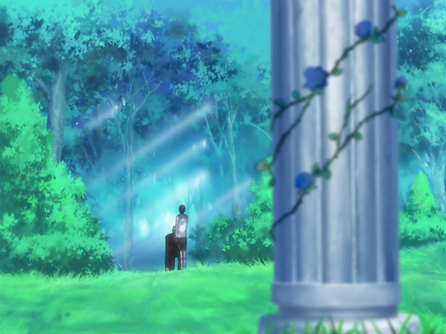 Blood+ Ep 40: Dreams That Chevaliers Dream @ 10:47