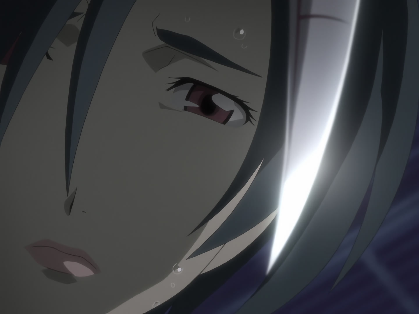 Blood+ Ep 50: Nankurunaisa @ 04:10