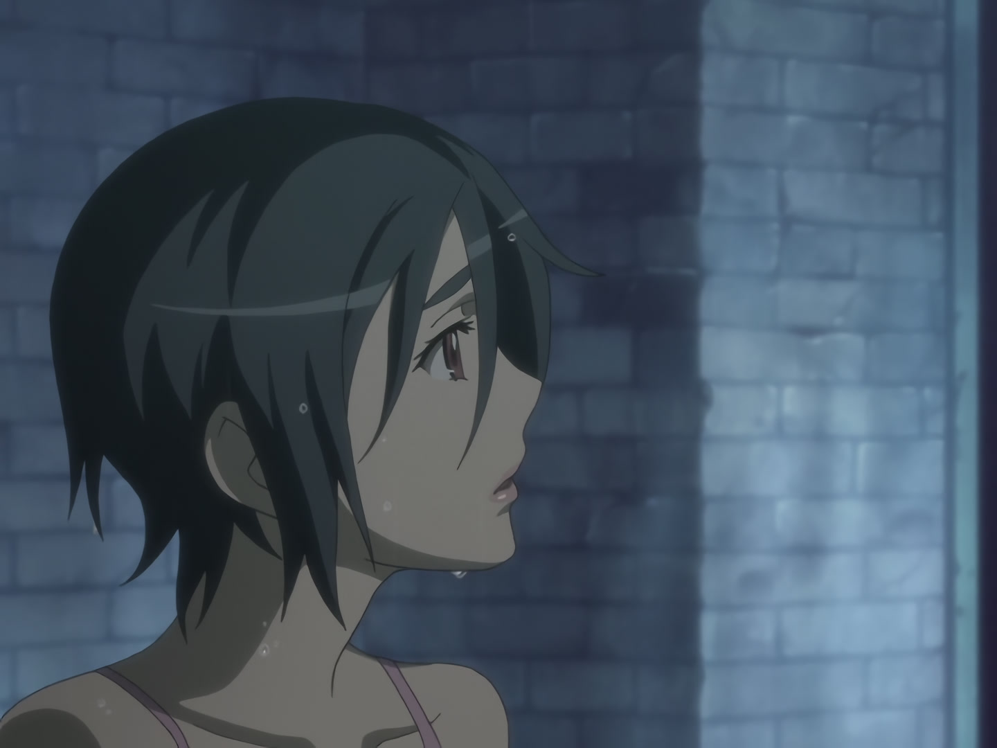 Blood+ Ep 50: Nankurunaisa @ 05:24